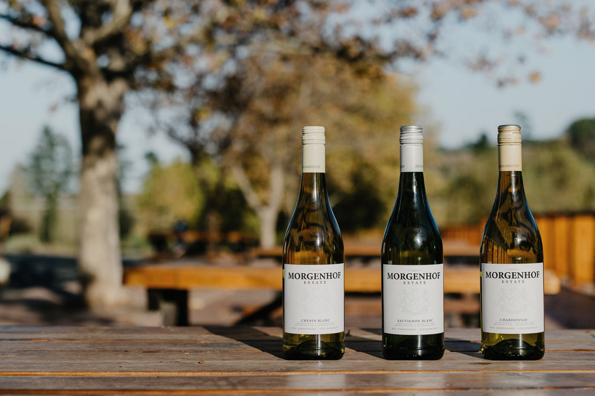 Three Morgenhof Estate white wine bottles — Chenin Blanc, Sauvignon Blanc and Chardonnay — on an outdoor table at sunset