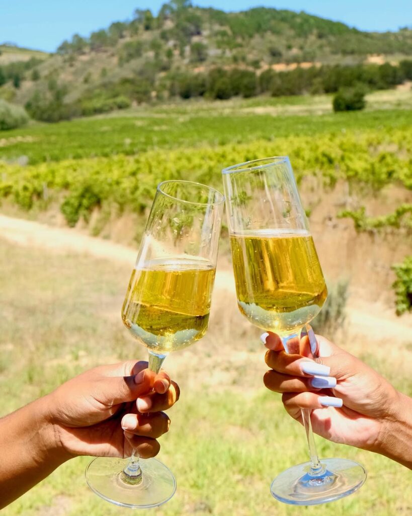 Two hands toasting glasses of sparkling wine before a sunlit Morgenhof vineyard