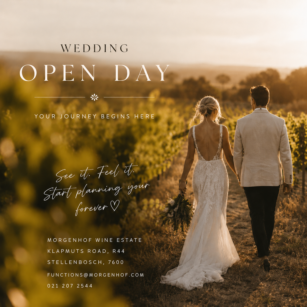 Wedding Open Day graphic with a couple walking through a vineyard at sunset at Morgenhof